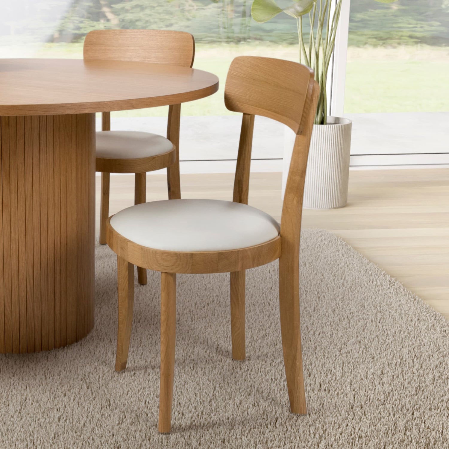 Modern Dining Chairs