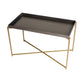 Iris Rectangular Tray Top Side Table - Gun Metal Tray & Brass Frame